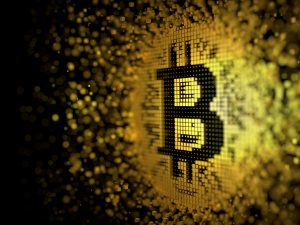Steve Hanke gọi Bitcoin là tài sản có tính đầu cơ cao với giá trị cơ bản bằng 0