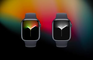 Apple công bố mặt đồng hồ Black Unity Braided Solo Loop và Unity Lights